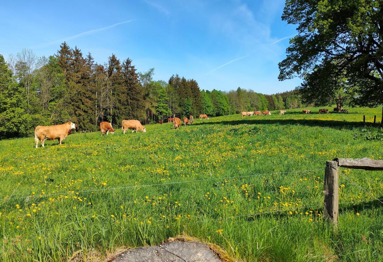 Zdomek Teplice nad Metují Екстериор снимка